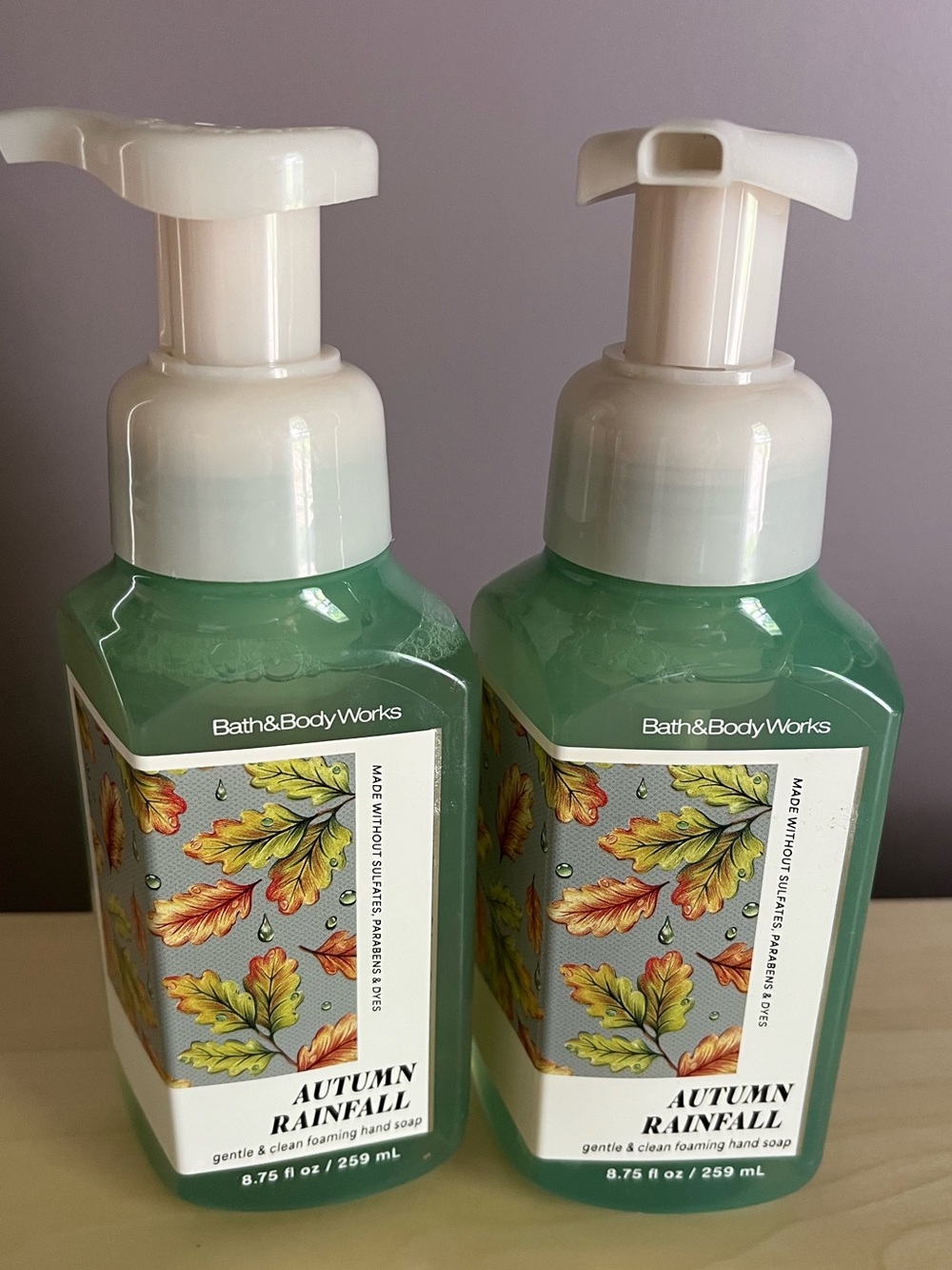 Two Bath & Body Works Autumn Rainfall Foaming Hand Soaps